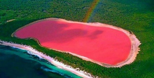 البحيرة الوردية