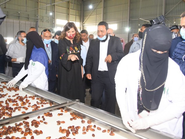 وزيرة الهجرة خلال زيارة مصنع التمور 