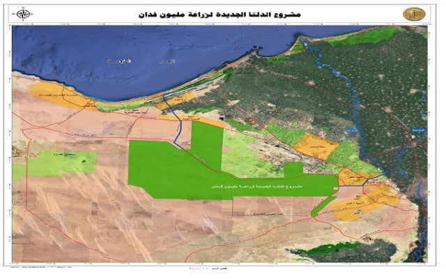 مشروع مستقبل مصر