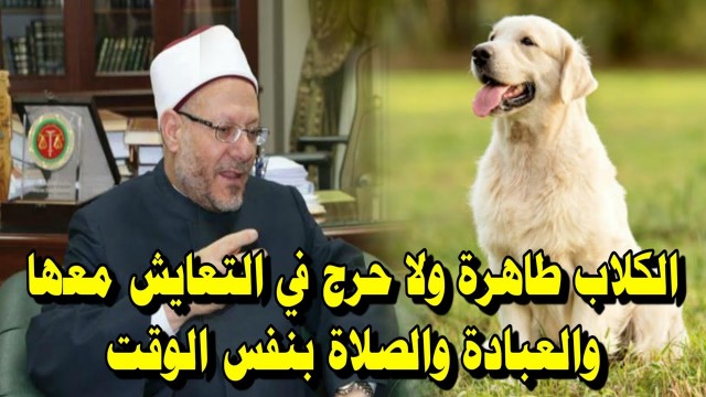 الكلب طاهر 