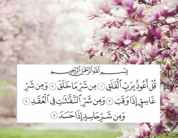 في زمن النبي.. تعرف على قصة الصحابي الذي كاد يقتله الحسد