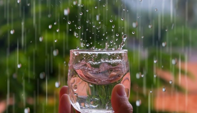 فوائد ماء المطر 