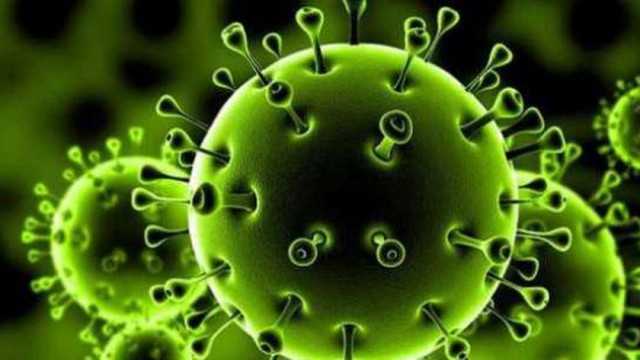 الصحة: تسجيل 1197 حالة إيجابية جديدة بفيروس كورونا و 25 وفاة