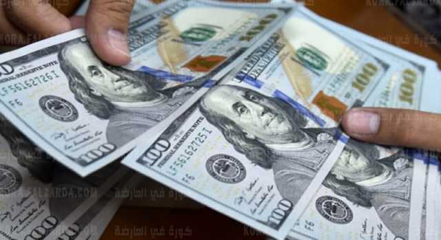 استقرار الدولار مقابل الجنيه المصري بداية التعاملات الأسبوعية