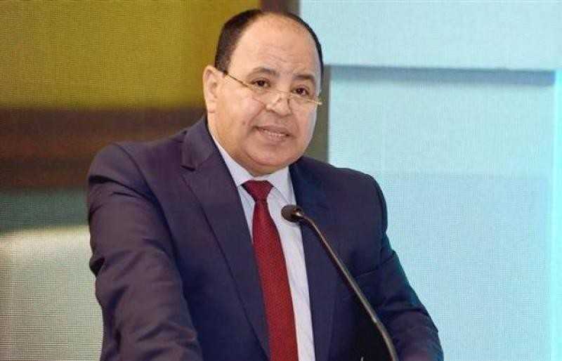 «المالية»: 307 ملايين دولار أوامر دفع لمبادرة استيراد سيارات المصريين بالخارج