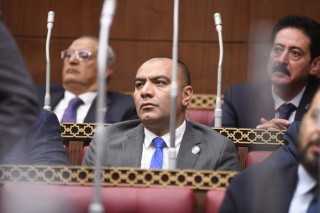 النائب محمد ابوحجازي :كلمة الرئيس السيسي في المؤتمر العالمي للصحة والسكان والتنمية كشفت حجم وخطورة الزيادة السكانية