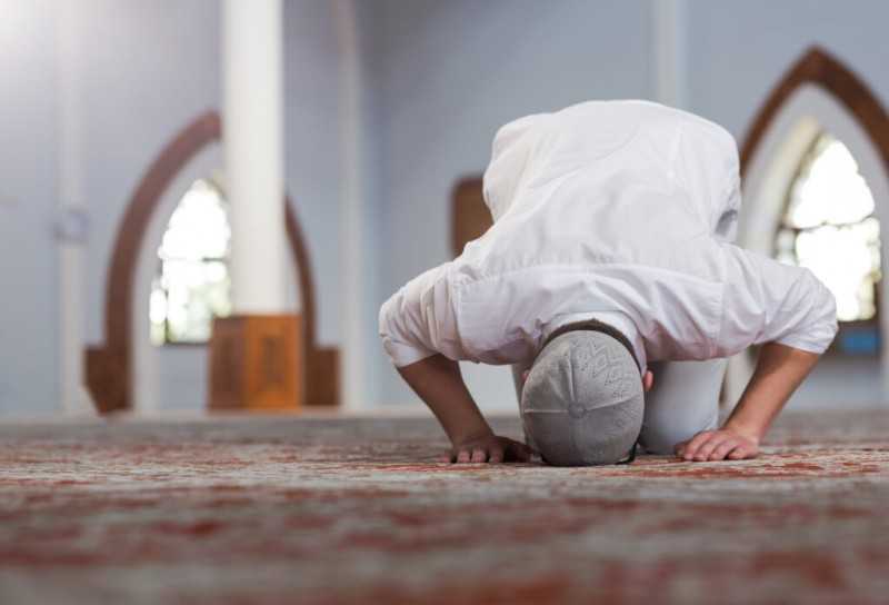 إضاءات حكم وتوجيهات: فهم وأهمية الحديث الشريف في الحياة المسلمة