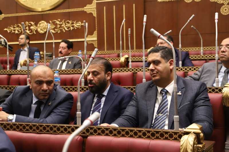 نائبي دمياط بالشيوخ التمامي وابوحجازي يثمنان كلمة الرئيس بمؤتمر الاستثمار.. اكدت:علي زيادة حجم الاستثمارات الأجنبية المباشرة في مصر