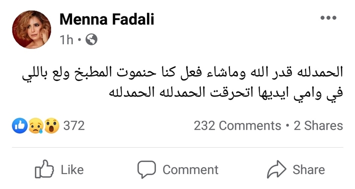 تفاصيل حريق منزل منة فضالي 