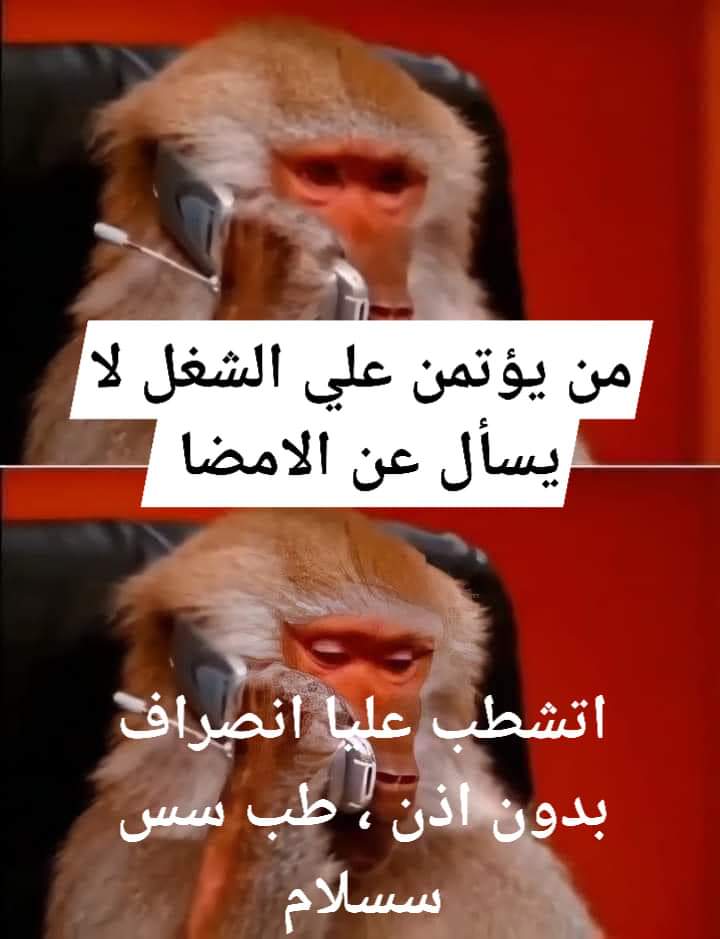 ميمز